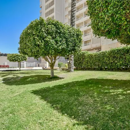 Homeincalpe Apolo Xvii 1-13-39 * Calp